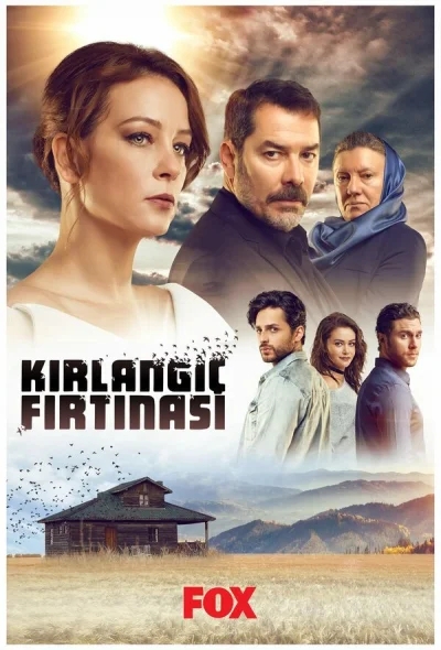 Смотреть онлайн Шторм ласточки 2017 смотреть онлайн